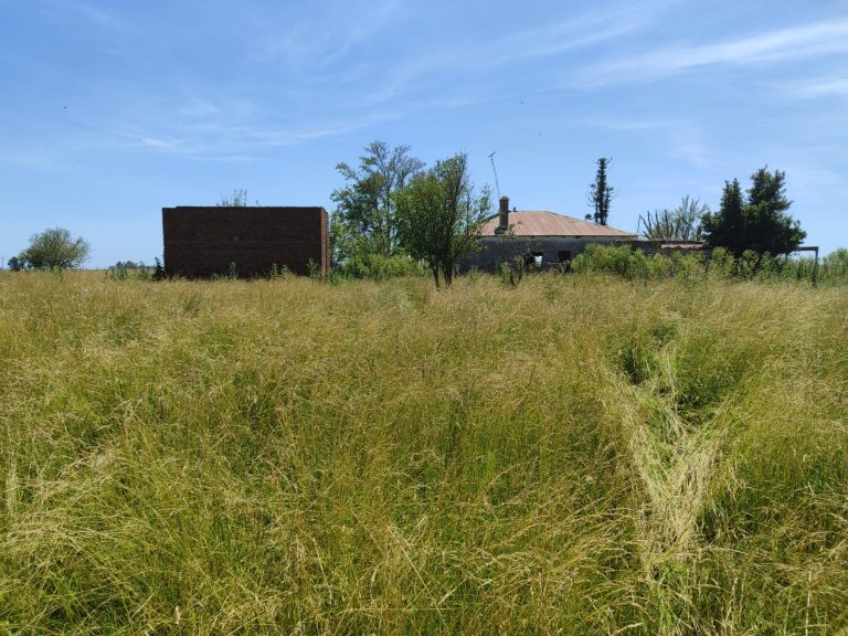 Inmueble, subasta AZ150